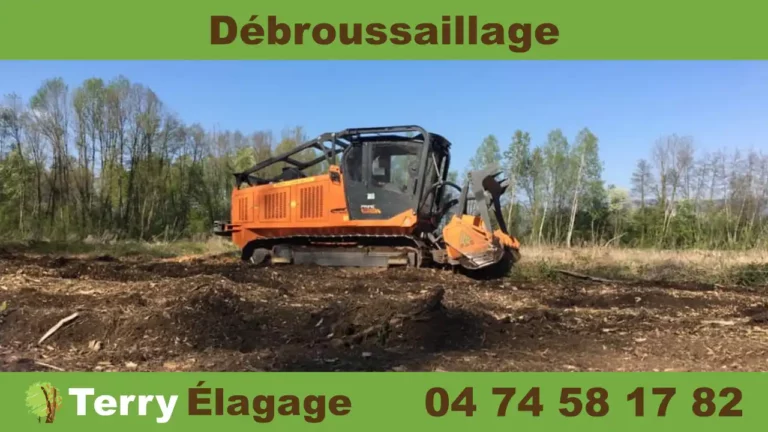 Terry Élagage Déboussaillage