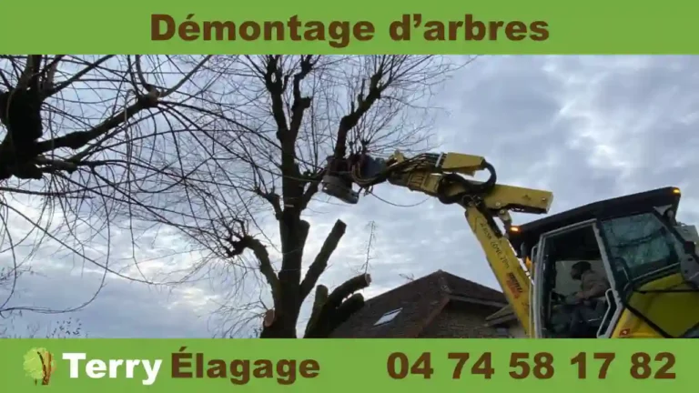 Terry Élagage démontage d'arbres