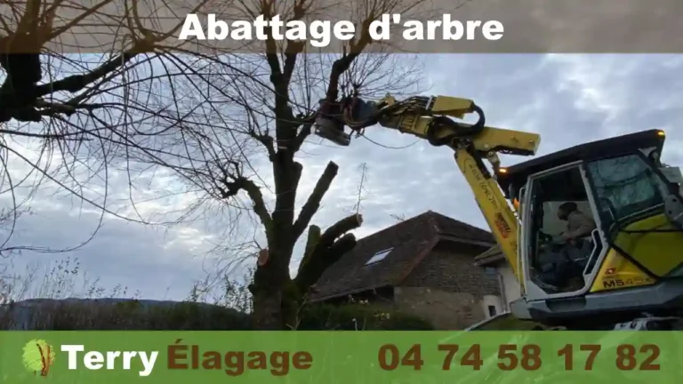 Terry Élagage - abattage d'arbre, isere, savoie, ain, haute-savoie